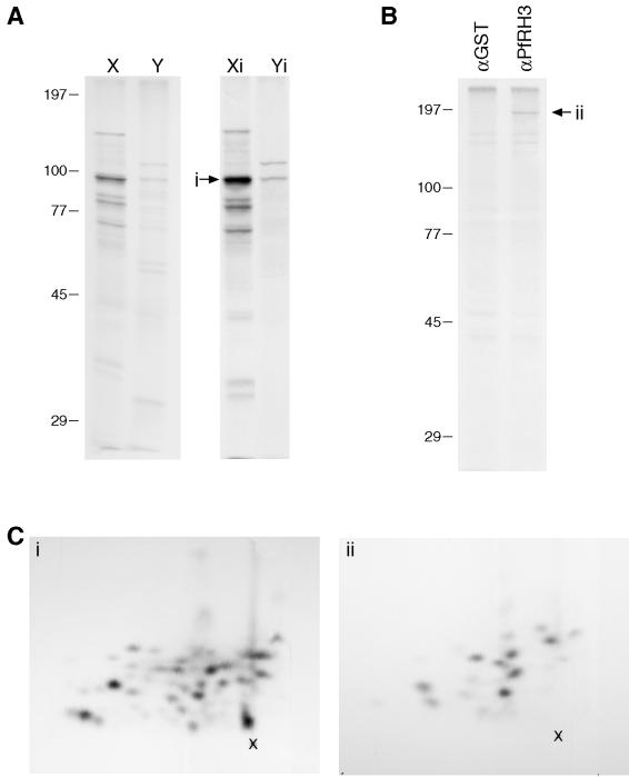 FIG. 6