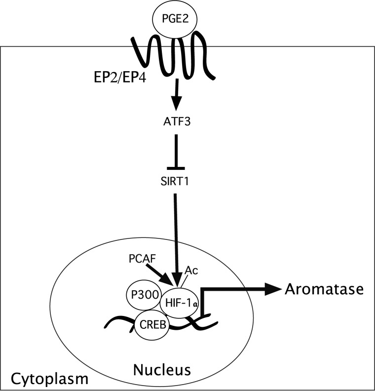 Figure 9.