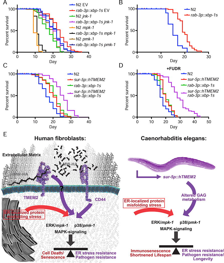 Figure 7: