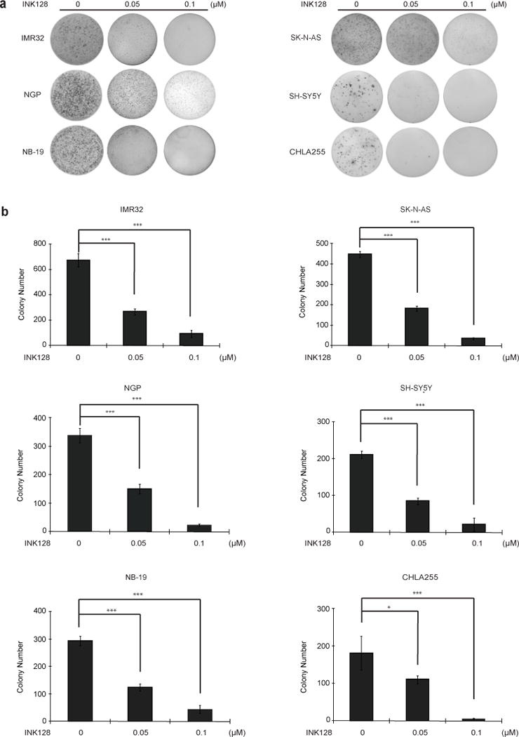 Fig.2