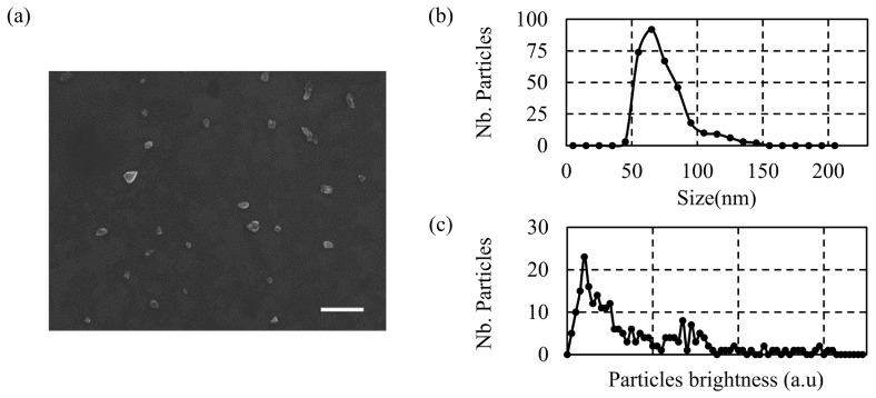 Fig. 7