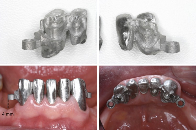 Fig. 4