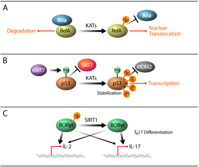 Figure 10.