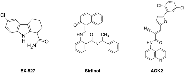 Figure 13.