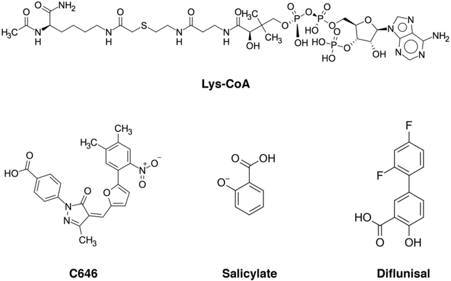 Figure 14.