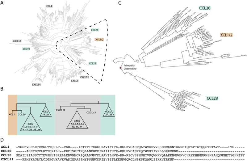 FIGURE 1: