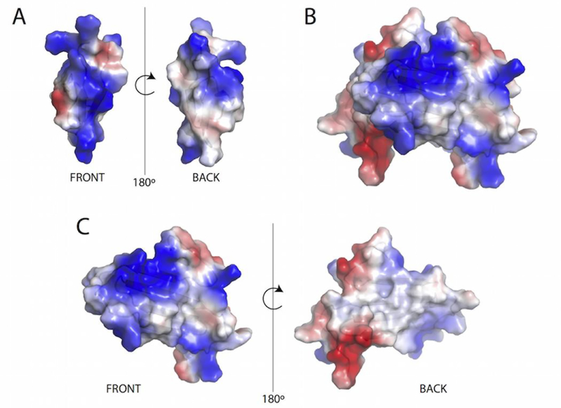 FIGURE 9: