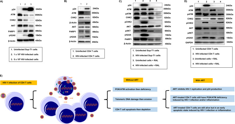 FIG 6