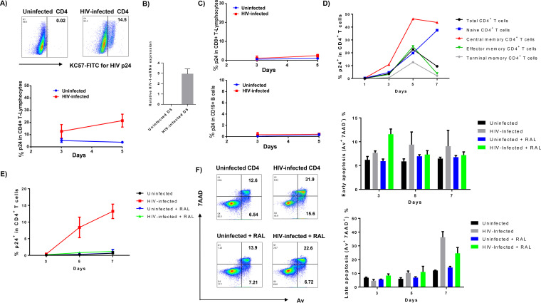 FIG 3