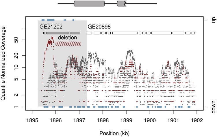 Fig 3