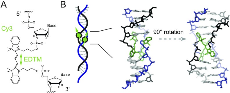 FIG. 1.