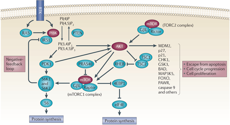 Figure 2 |