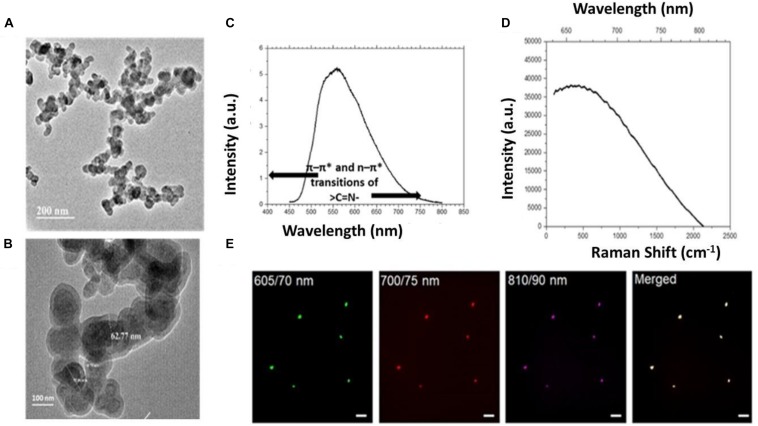 FIGURE 3