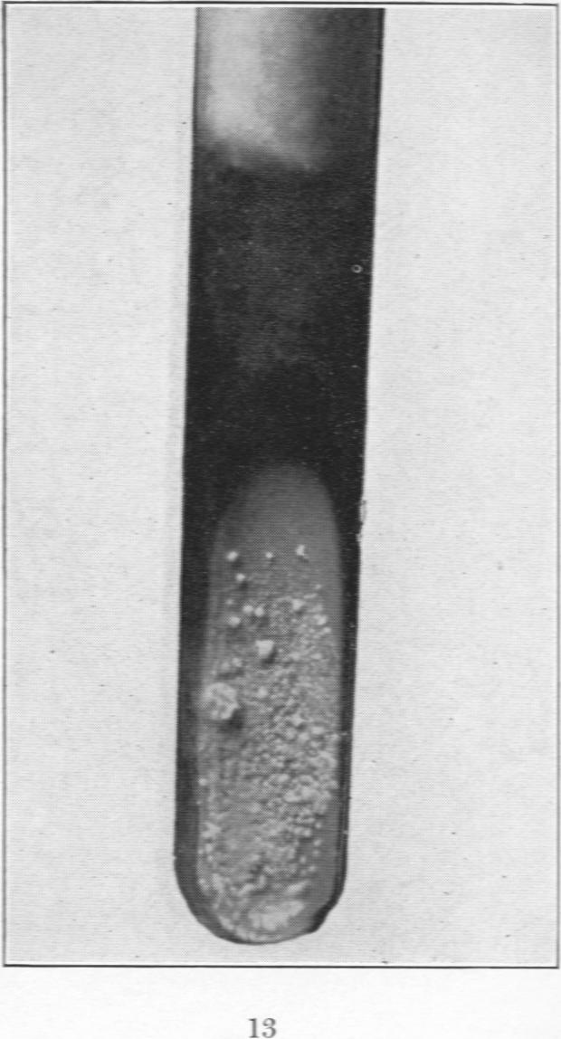 Fig. 13