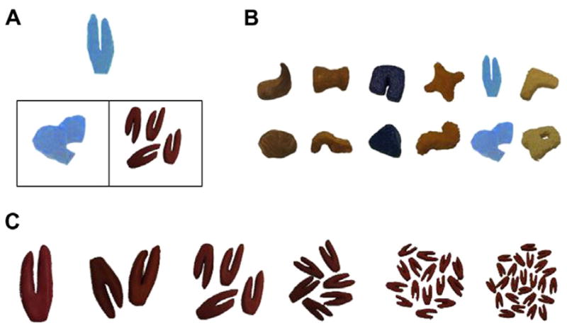 Fig. 1