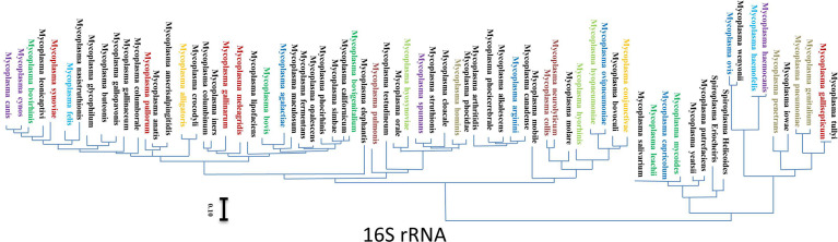 Figure 4