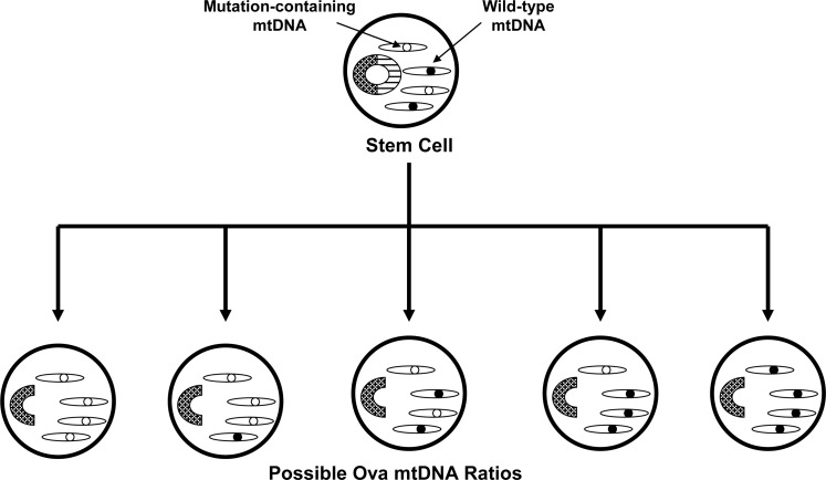 FIG. 8.