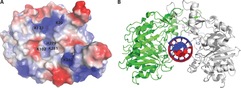 Figure 5.