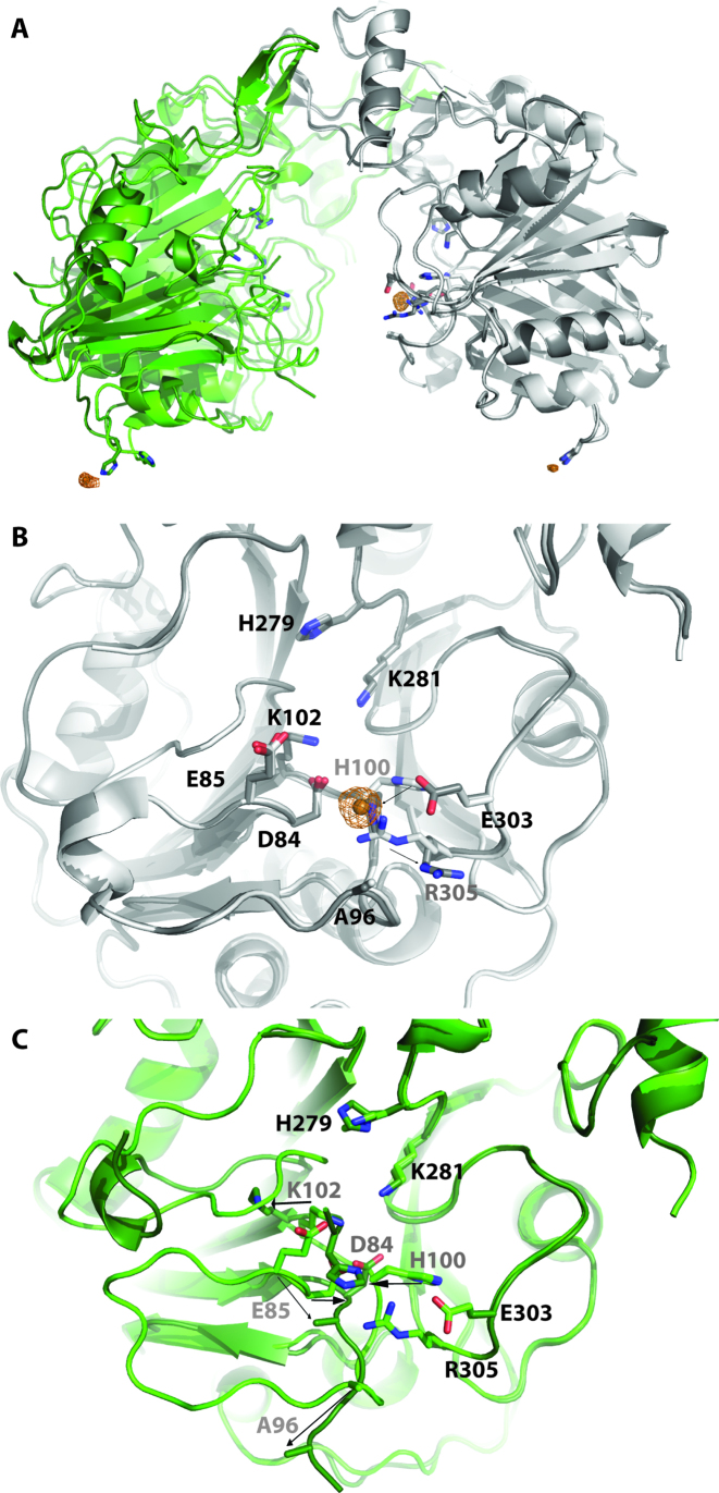 Figure 4.