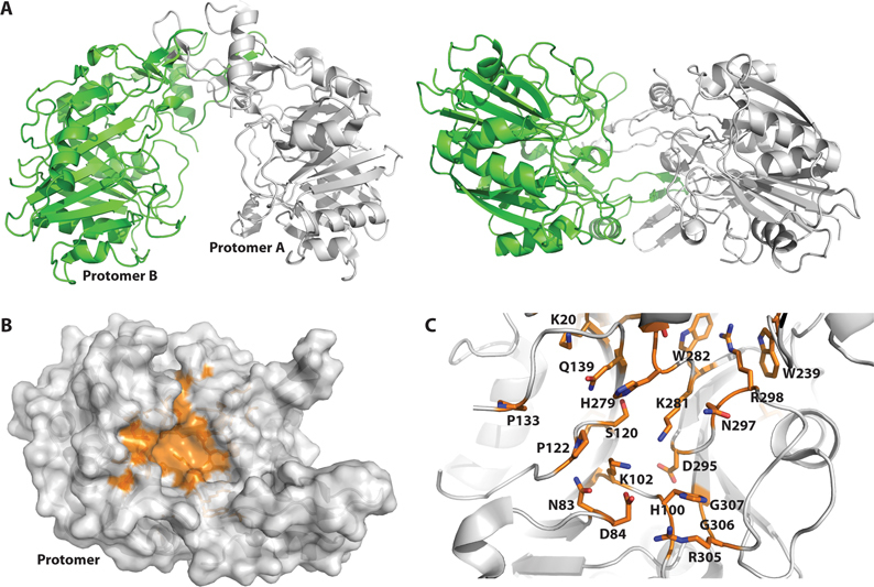 Figure 2.