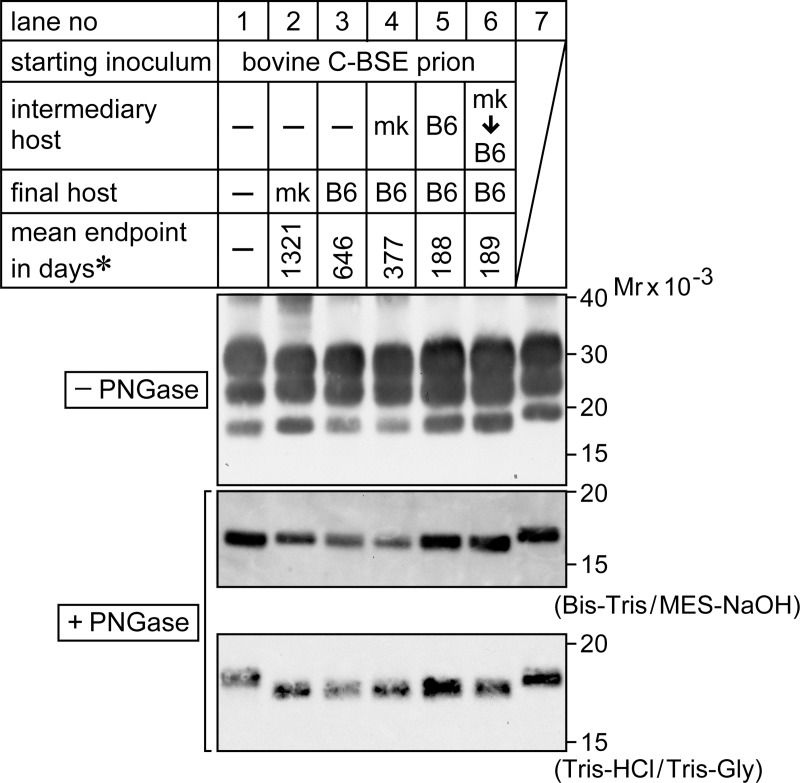 Fig 8