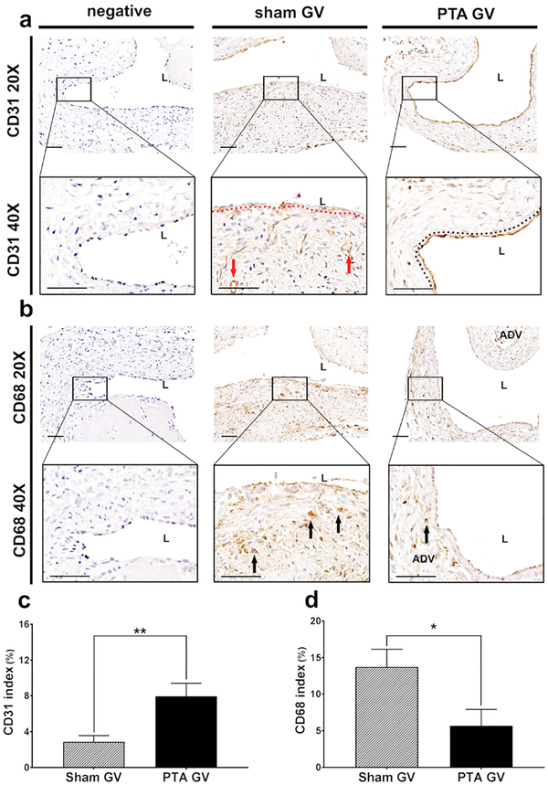 Figure 4: