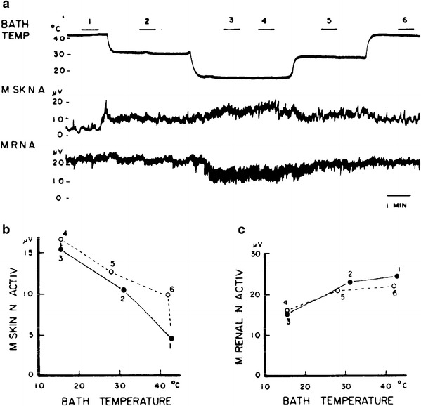 Fig. 20