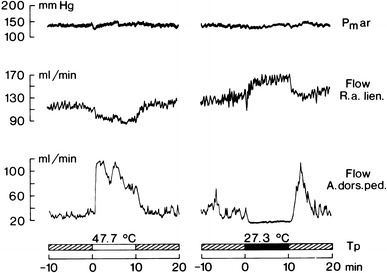 Fig. 21