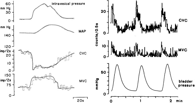 Fig. 10