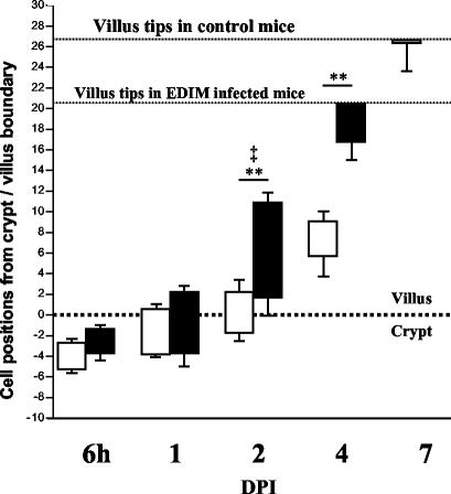 FIG. 7.