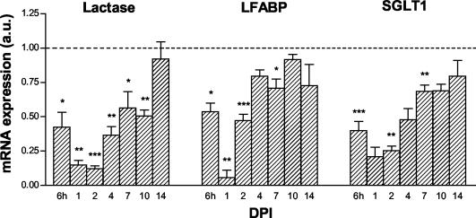 FIG. 9.