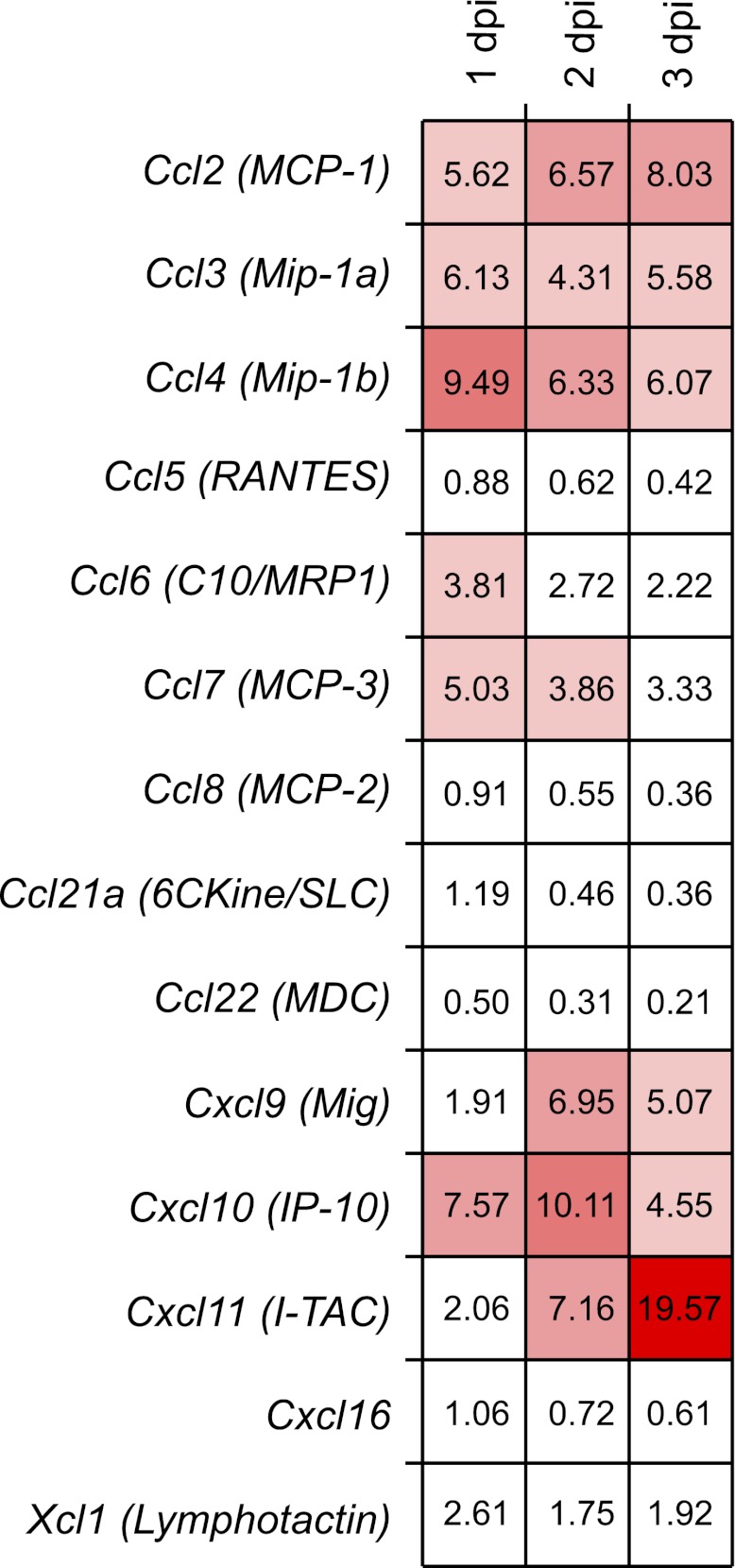 Fig. 5.