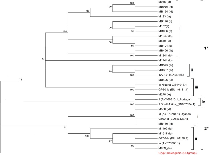 Fig 2