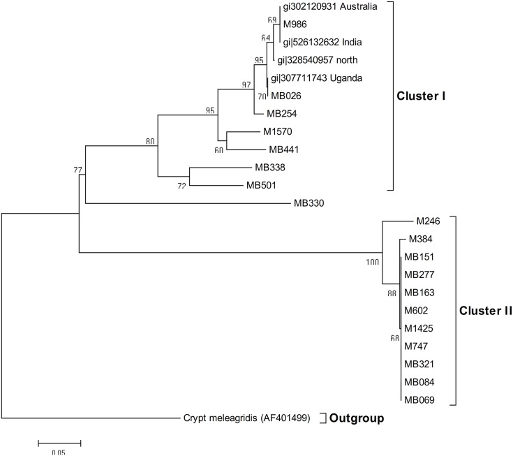 Fig 3