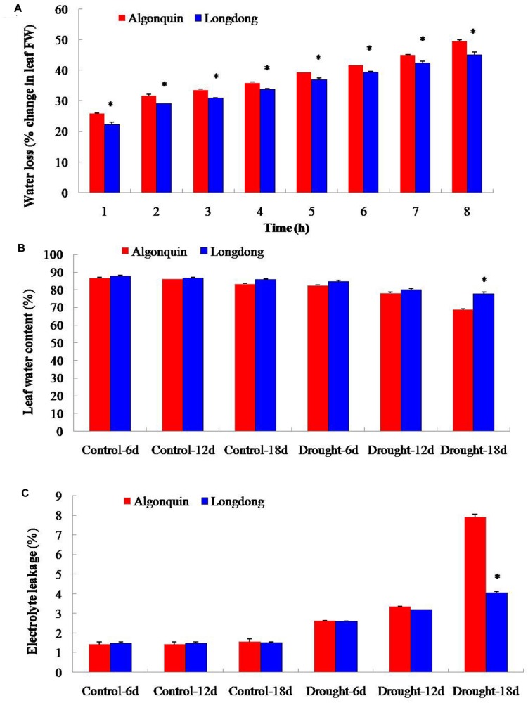 FIGURE 1