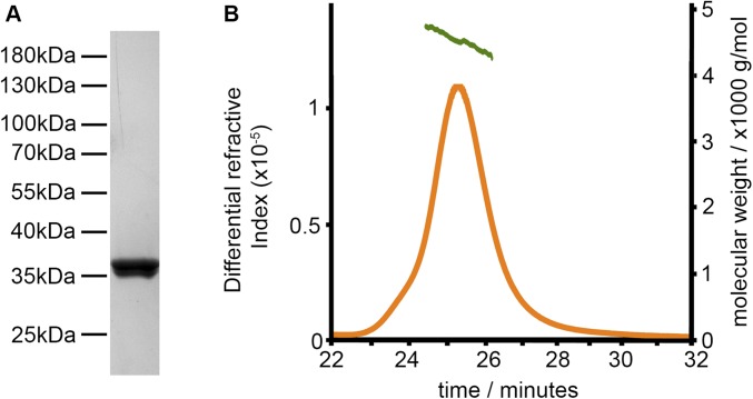 Fig. S1.