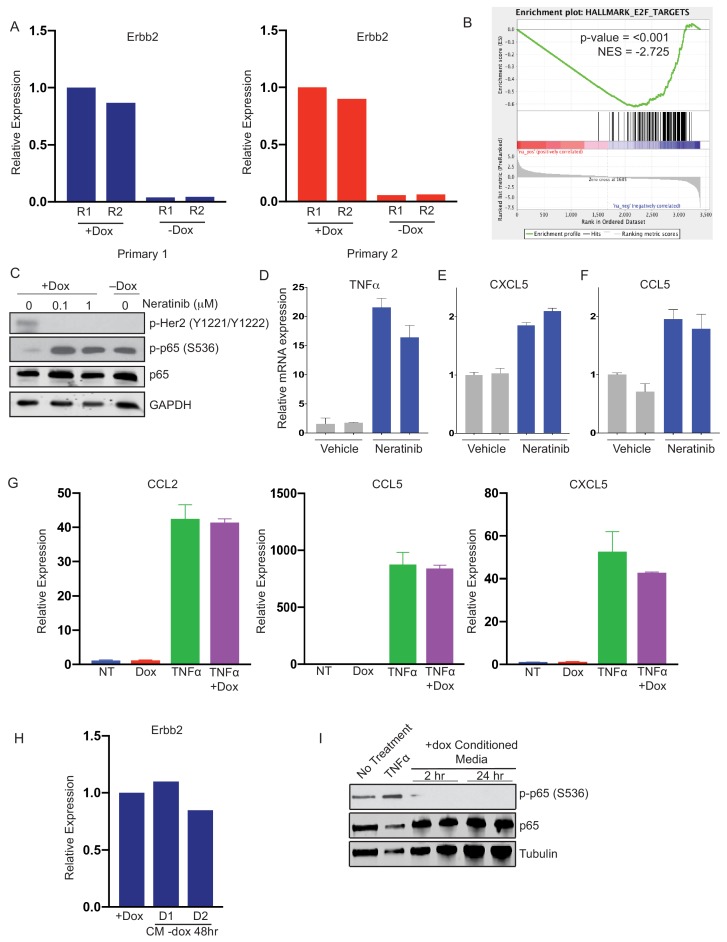 Figure 1—figure supplement 1.