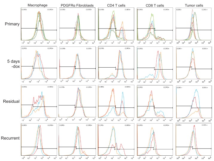 Figure 5—figure supplement 2.