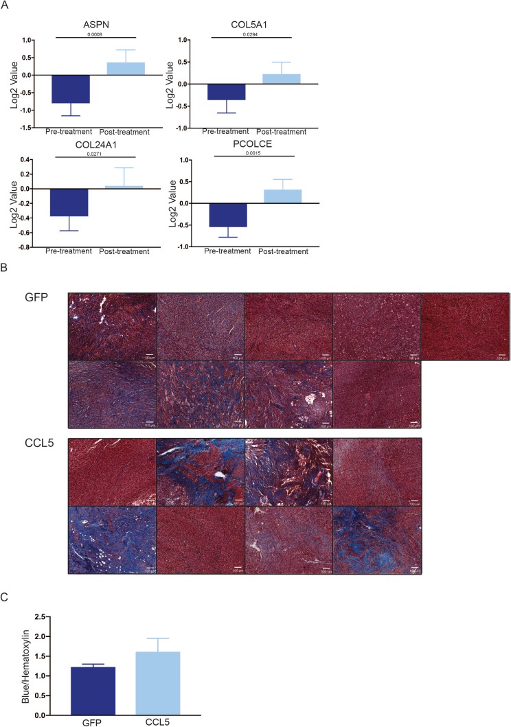 Figure 6—figure supplement 1.