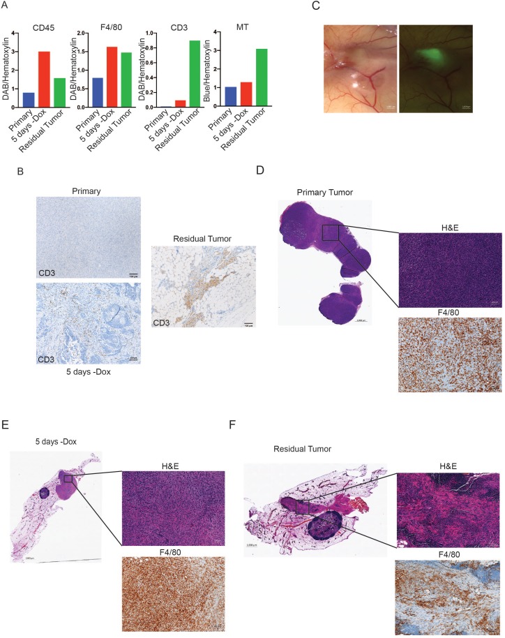 Figure 2—figure supplement 1.