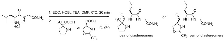 Scheme 8