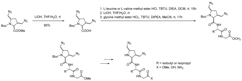 Scheme 7