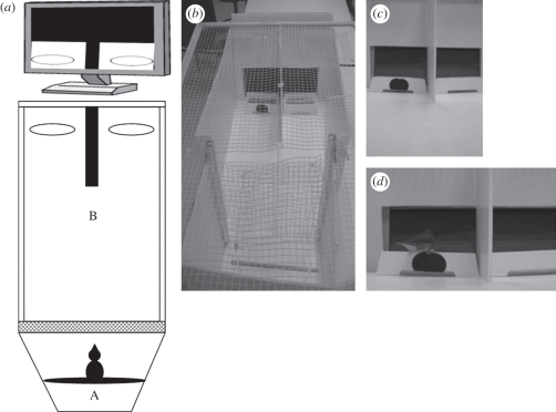 Figure 1.