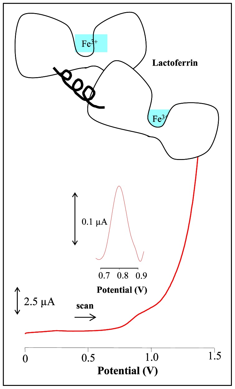 Figure 7.