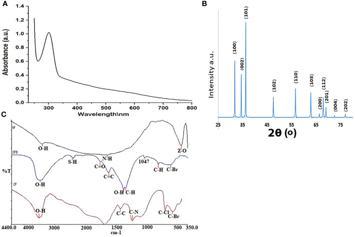 Figure 1