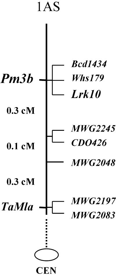 Figure 6.