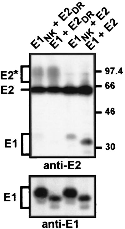 FIG. 8