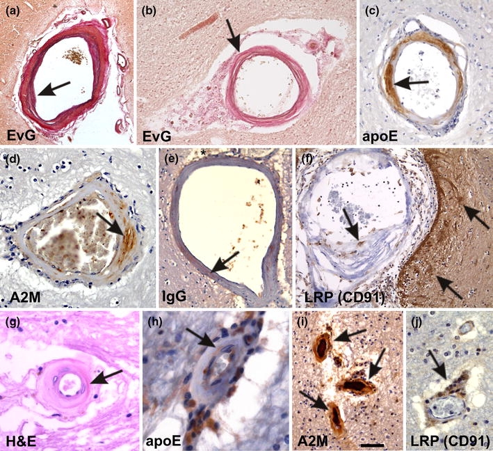 Fig. 2