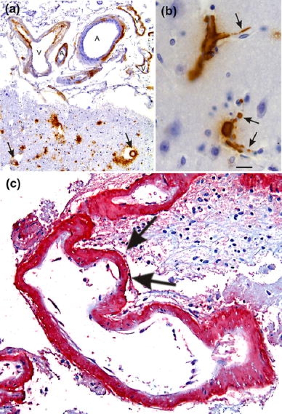 Fig. 3