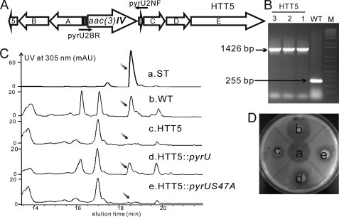 FIGURE 4.